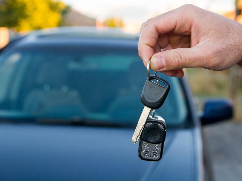 Voluntário para Apoio de Transporte